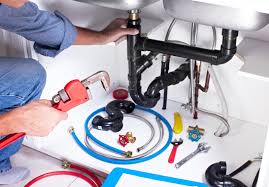 Best Garbage Disposal Repair and Installation  in Waterman, IL